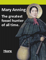 What you might not have known then is that Mary Anning was arguably the greatest fossil hunter of them all In Victorian England. In an era of amateur scientists, fossil hunters were nearly always men.